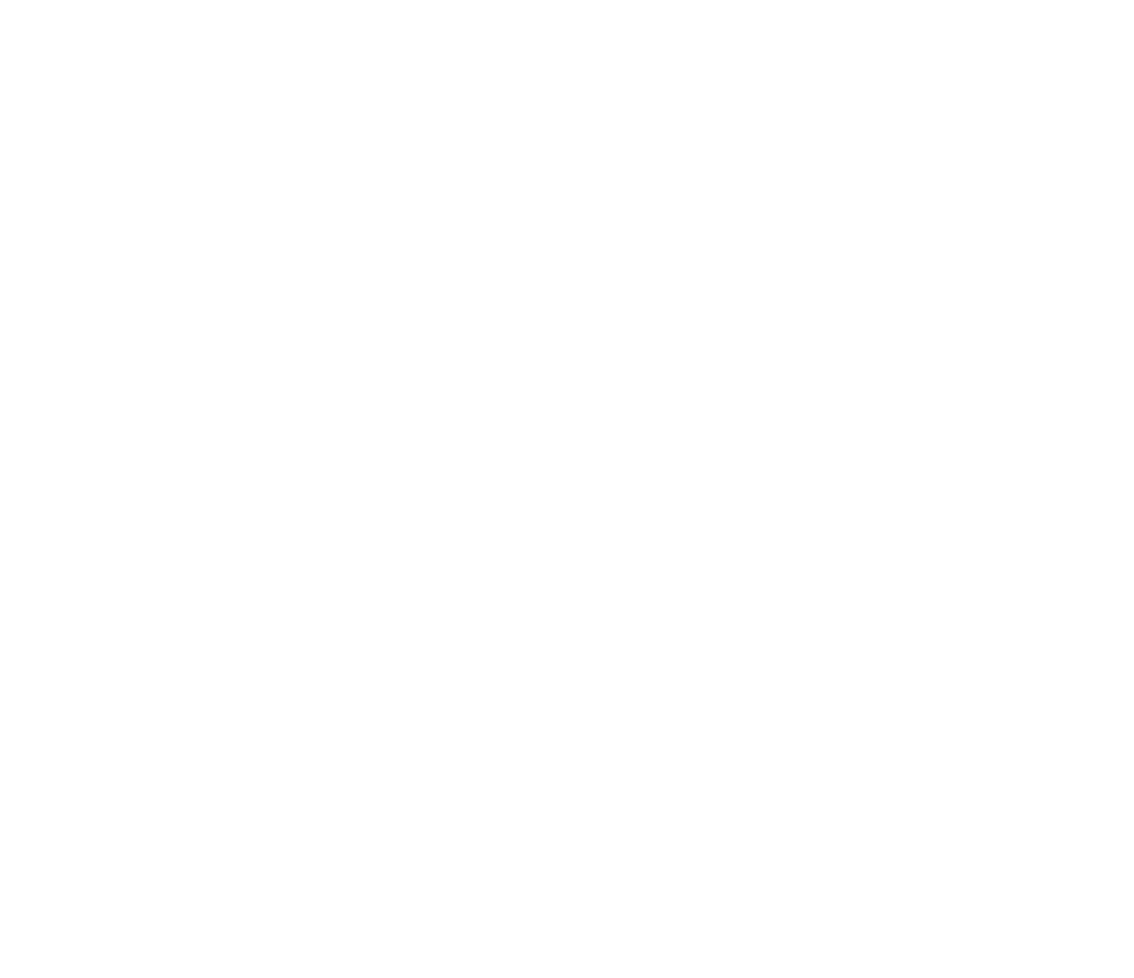 FC Dragon logo