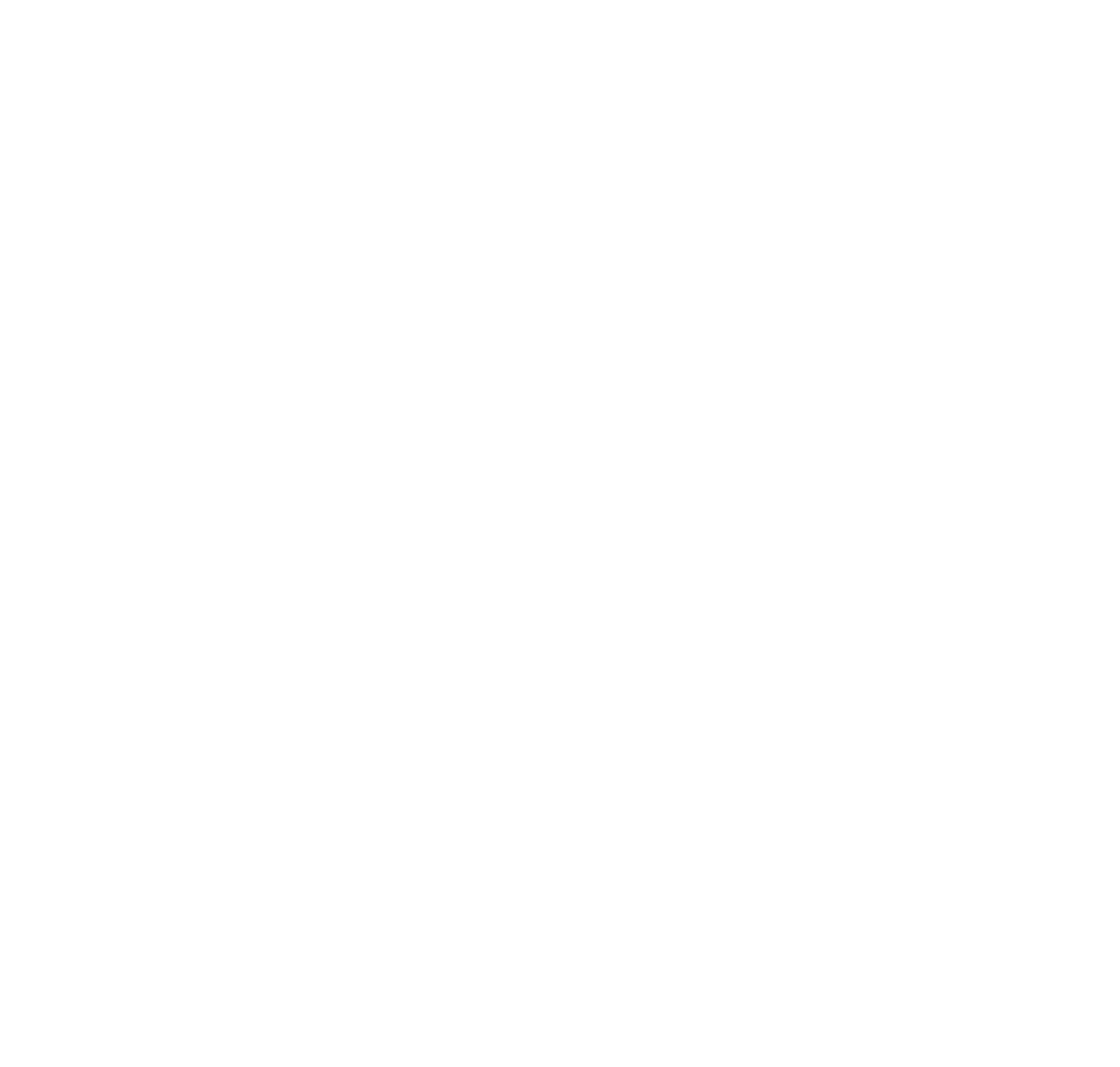 FC Dragon logo